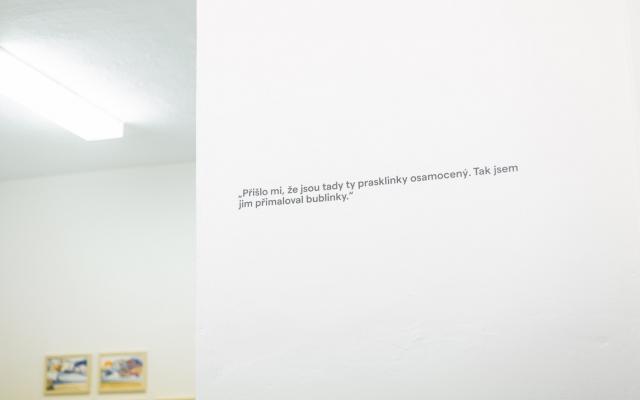 podobyspoluprace-verni-002