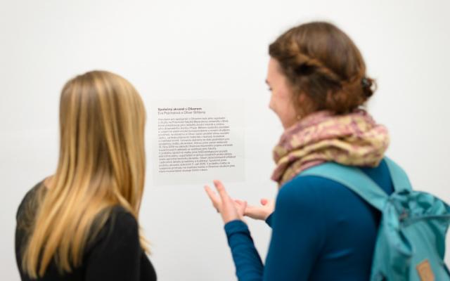 podobyspoluprace-verni-005