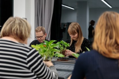 Pokojové kvetiny WEB-6